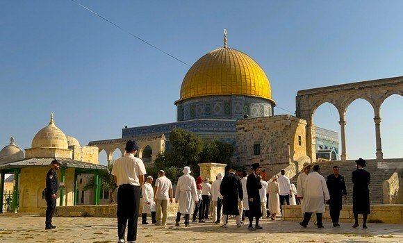 مستوطنون صهاينة يقتحمون المسجد الأقصى المبارك بحماية شرطة الاحتلال الصهيوني