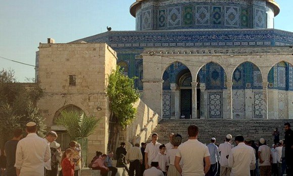 فلسطين: 286 مستوطنا صهيونيا يقتحمون المسجد الأقصى المبارك