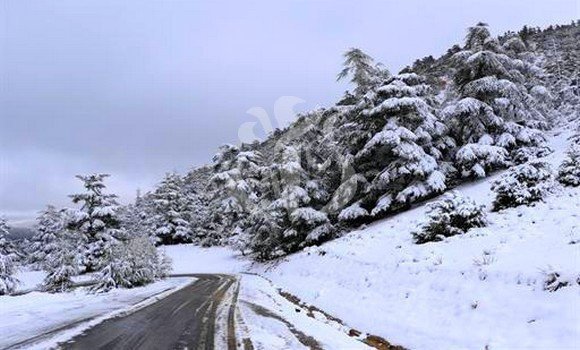 ثلوج مرتقبة بعدد من ولايات الوطن بداية من مساء يوم الثلاثاء