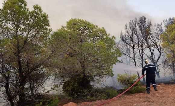 Ain Defla: une importante campagne de sensibilisation contre les incendies de forêts