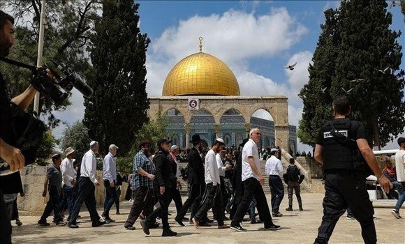 ​El-Qods occupée: des colons sionistes envahissent la mosquée Al-Aqsa 