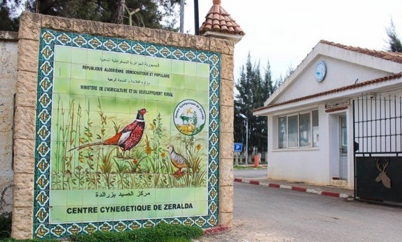 Préservation du gibier en Algérie: reproduction de plus de 6000 perdrix gambra au Centre cynégétique de Zéralda en 2024