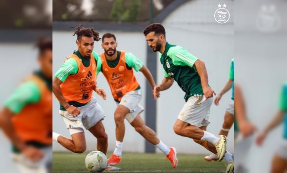 Foot/Qualifs-CAN 2025 (Gr.E – 2e j) Liberia- Algérie: les Verts pour enchaîner avec un deuxième succès à Monrovia