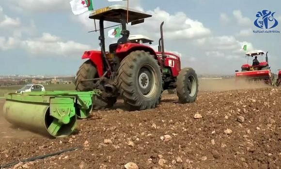 Campagne labours-semailles: l’OAIC invite les agriculteurs à acquérir les intrants agricoles