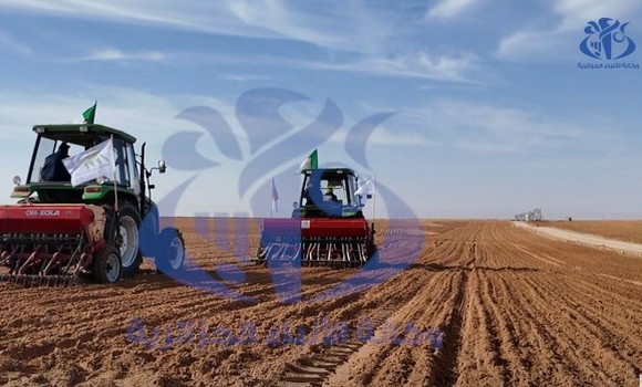 Touggourt/Campagne labours-semailles : plus de 1.300 hectares à emblaver