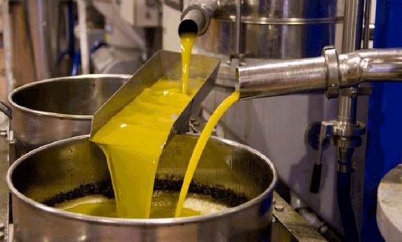 Tébessa: production prévisionnelle de plus de 1,8 million de litres d’huile d’olive