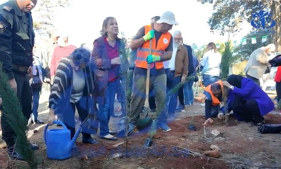 Plantation symbolique de 70 arbres à Alger en hommage aux amis de la Révolution algérienne