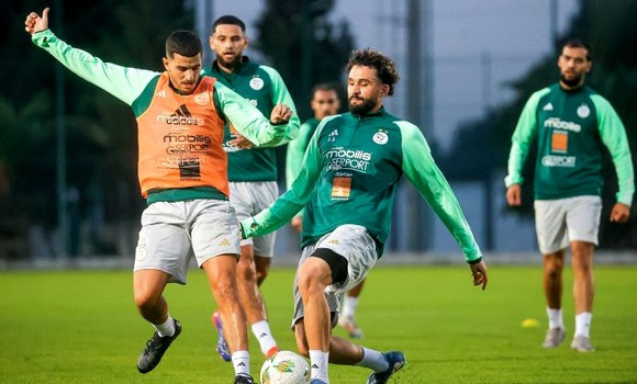 Foot/Qualif’s-CAN 2025 (Gr:E-5e j) Algérie: les Verts entament la préparation du match contre la Guinée équatoriale