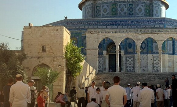 ​Palestine: 268 colons sionistes prennent d’assaut l’esplanade de la mosquée Al-Aqsa 